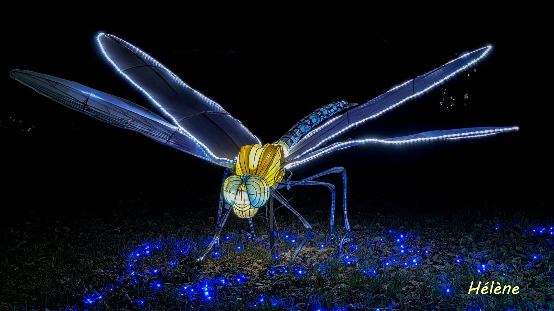 THOIRY -Illumination ,  Lumières sauvages 2025-2026